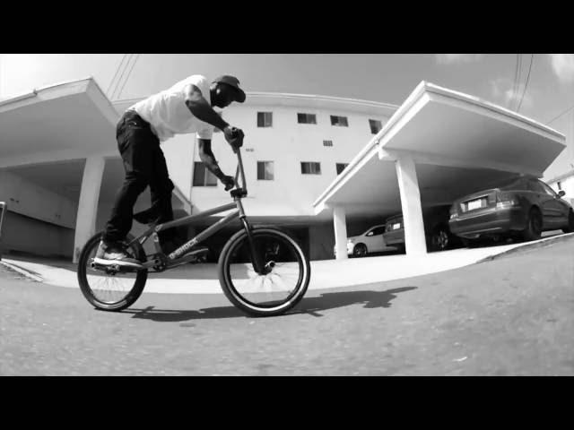 Animal Bikes: Nigel Sylvester 2014