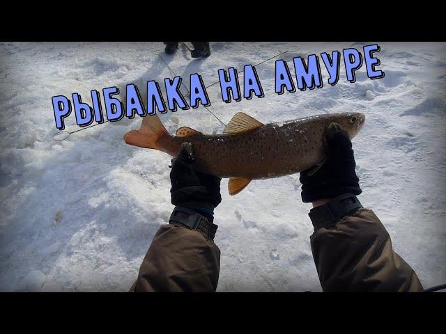 Ловля щукаря на амуре в глухозимье