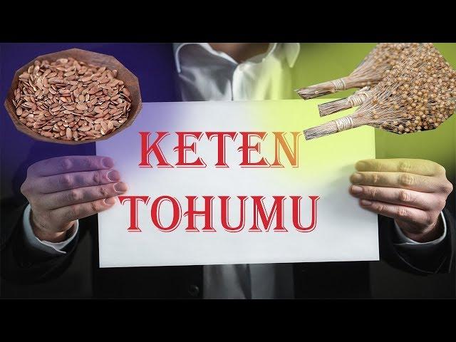 KETEN TOHUMU NEYE İYİ GELİR? (Faydaları Zararları, Nasıl Kullanılır)