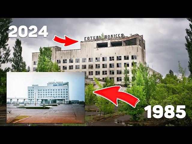 Чернобыль Спустя 38 лет | Дикая природа Зоны Отчуждения