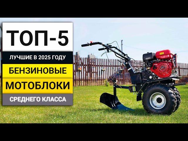Лучшие бензиновые мотоблоки среднего класса | ТОП-5 в 2025 году