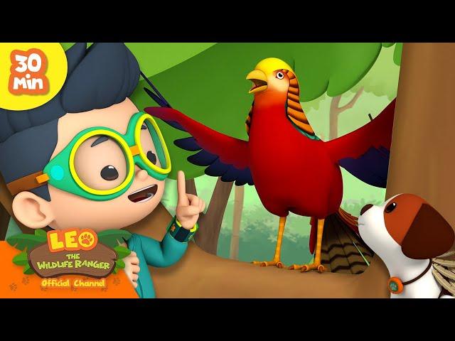 HAVE YOU SEEN THIS MYTHICAL BIRD?!  | Fantasy Creatures | Leo the Wildlife Ranger | Animal Cartoons