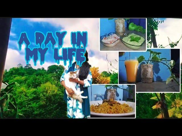 simple lifestyle of Sri Lankan  muslim girl| A Day in my life #cooking #srilanka #kandy #muslimgirl