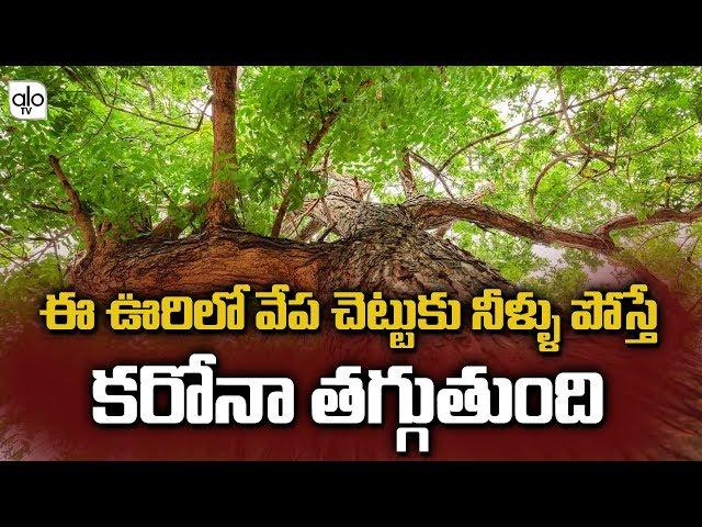 People Are Fearing About Present Issues | JanataCurfew | Telugu News | ALO TV