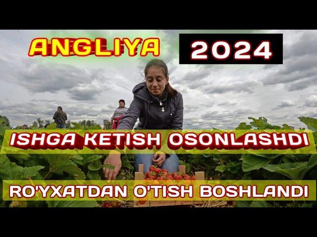 ANGLIYAGA ISH BORISH 2024  |  АНГЛИЯГА ИШГА КЕТИШ 2024  |  MIGRATSIYA_UZBEKISTAN....