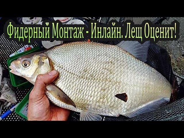 Инлайн. Фидерный монтаж. Ловля леща.