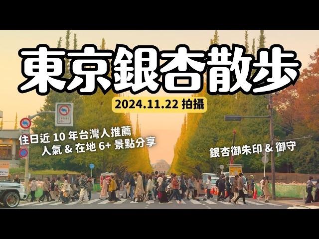 2024東京銀杏現況散步 人氣&在地6景點 東京大學 神宮外苑 東京車站 3個銀杏御朱印御守神社｜2024.11.22拍攝｜日本東京11月12月推薦景點 4k