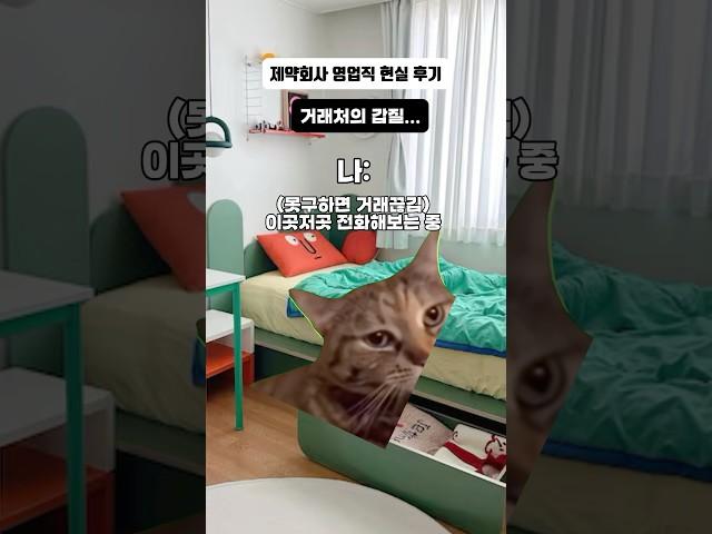 제약회사 영업직 현실 후기 ㅠㅠ #고양이밈 #영업직