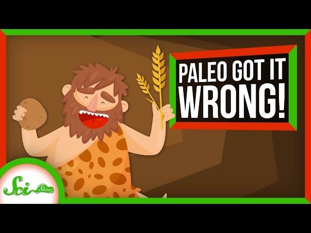 Paleo Got It Wrong: We've Loved Carbs for Over 100,000 Years | SciShow News