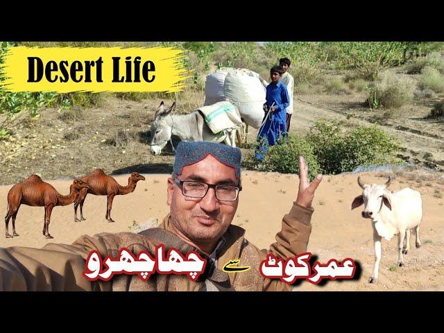 Chachro city | Thar desert | motorcycle trip in desert