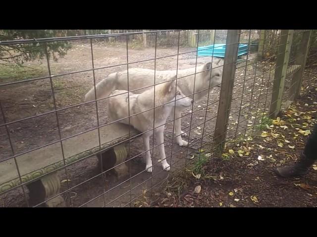 Exploring Howling Woods Farm - Jackson NJ