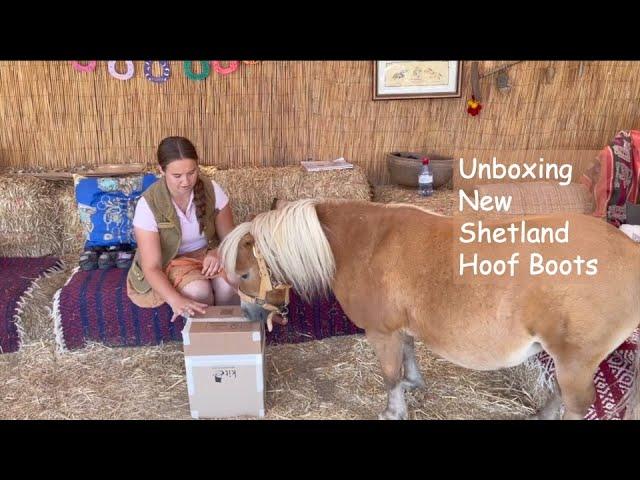 Unboxing New Shetland Hoof Boots- TV EP 401