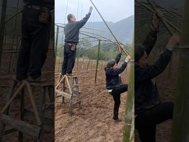 Amazing Building a Bamboo Greenhouse #satisfying @HappyFarm85