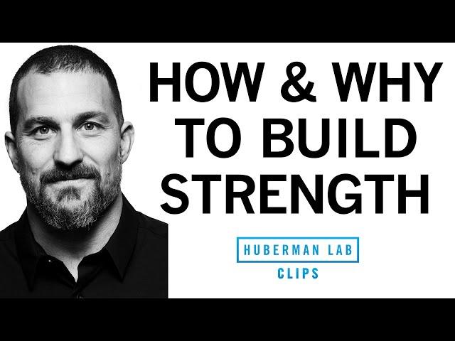 The "3 by 5" Protocol: How & Why to Build Your Strength | Dr. Andrew Huberman