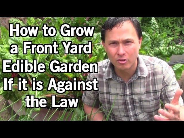 How to Grow Food in Your Front Yard if it is Illegal