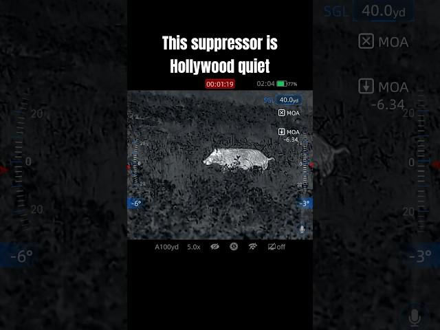  AB Suppressor Little Bird IrayUSA RICO RH50R #hunting #feralhogs #invasivespecies