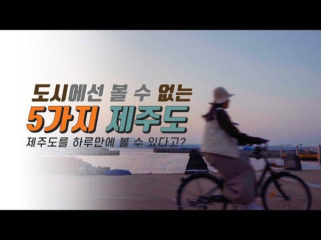 낭만 가득한 비양도 여행 섬속의 섬 비양도 1박 2일 브이로그