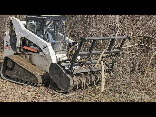 Forestry Mulching: Fighting Back the Wooded Takeover