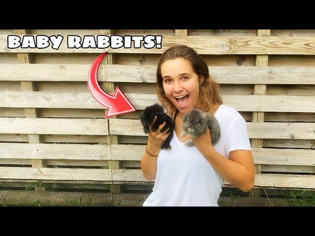 BABY RABBITS SAVED FROM FUR FARM! ARE THEY OK?!