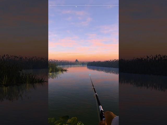 Beautiful sunrise, I cast the bait as far as I can,  Fishing Planet pc