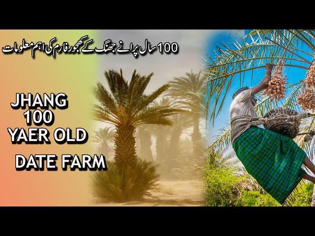 DATE FARM |JHANG PAKISTAN |RANA ASHFAQ DESI | Desi Vlogger |