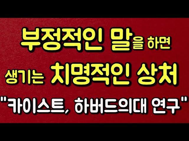 부정적인 말을 하면 생기는 치명적인 상처 + 말의 힘(카이스트, 하버드의대 연구)