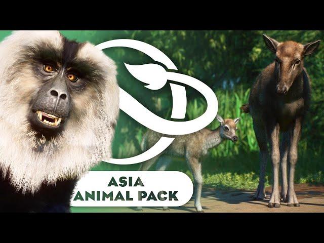 ASIA ANIMAL PACK! | New Elephant, Nilgai, Raccoon Dog & More!  | Planet Zoo News