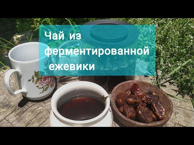 Делаем ферментированный чай из листьев ежевики 