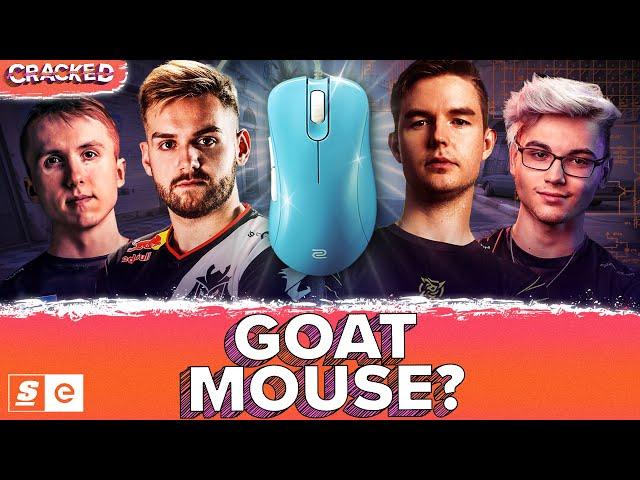 Does Zowie Still Make The BEST Mouse in Esports?