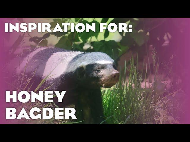 4 Real Honey Badger Habitats! (Planet Zoo: Asia Animal Pack Inspiration)