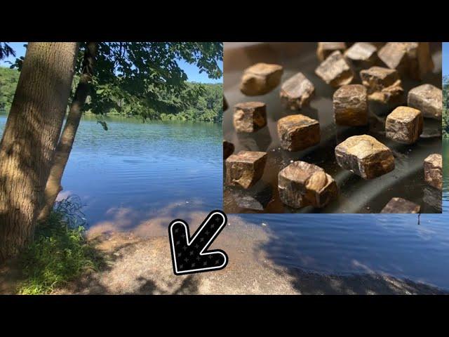 Pennsylvania Rockhounding Grubb Lake Lancaster County Jasper Quartz and TONS OF Limonite Cubes 