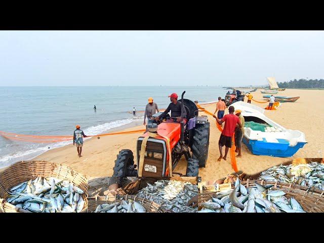  Wow ! Amazing fish net fishing video || Asian traditional fishing video : wait for end