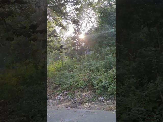 #shorts#ytshortsindia#husan#pahadon#ka#kya#kahanan#