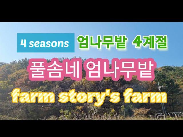 풀솜네 엄나무밭, 사계절 변화 모음