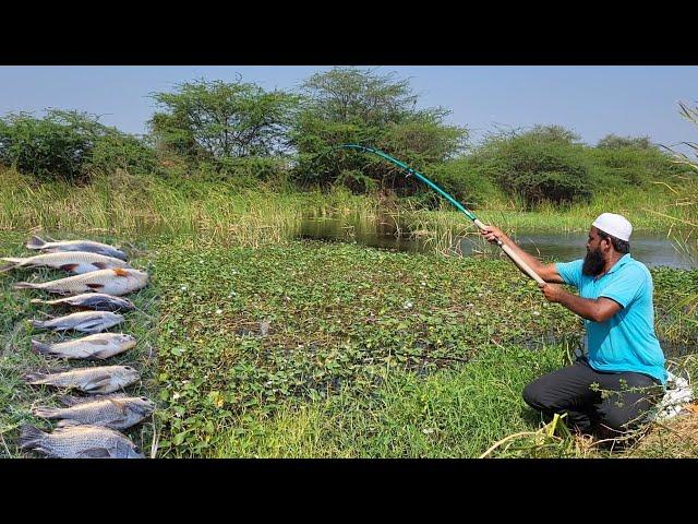 FISHING"TRADITIONAL FLOAT FISHING TECHNIQUES FOR ROHUFISH AND TILAPIAFISHES WITH A SINGLE HOOK "