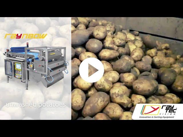 Raynbow sorter for unwashed potatoes | Raytec Vision