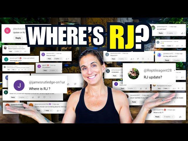 Answering Your Most Asked Questions In The Comments!