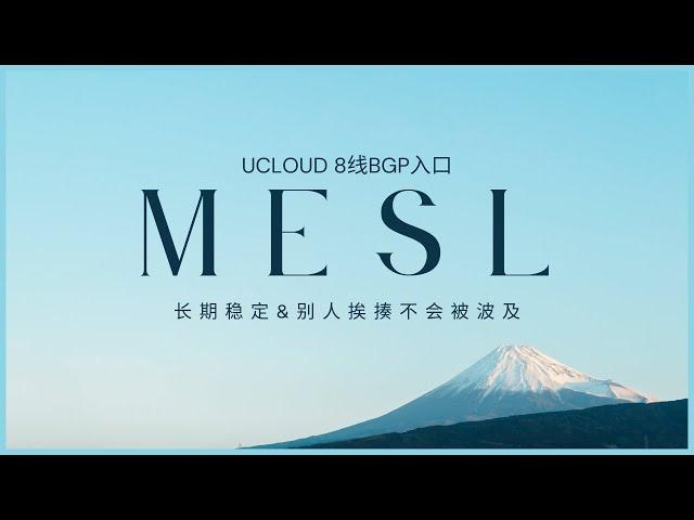 长期稳定专线机场，甚至还有一些性价比？这就是mesl！