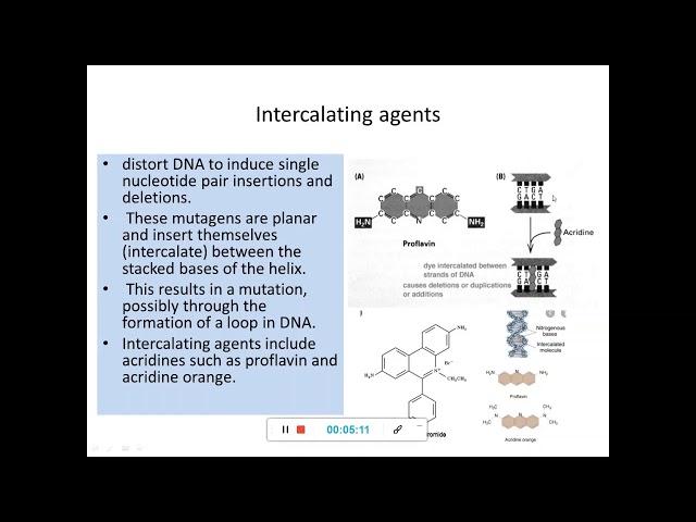 Mutations 6-Induced mutations