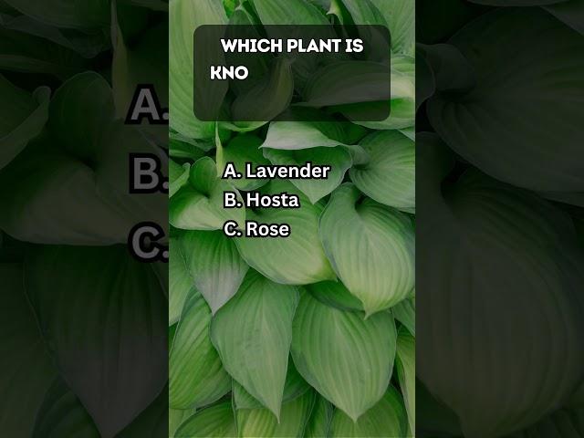  Ultimate Gardening Trivia  - Fun and Informative Quiz! 