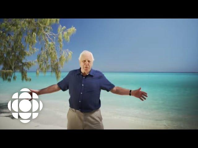 Great Barrier Reef, hosted by David Attenborough