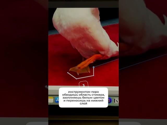 Как сделать стикеры в телеграм за 5 минут #графическийдизайн #обучениедизайну #фигма