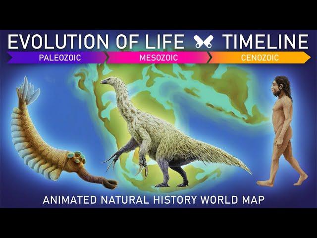 EVOLUTION OF LIFE .Timeline + Animated prehistoric world map