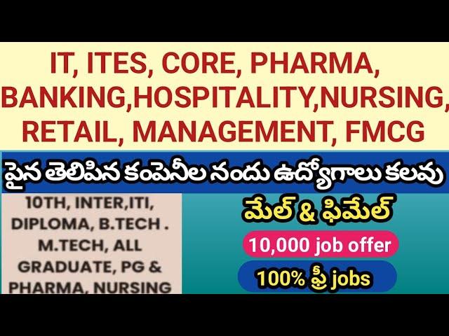 Vivida Company Nandu Udyogaavakaasalu - Male And Female Jobs - 10th Any Qualification Jobs