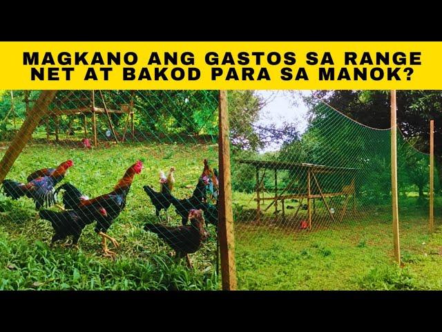 Magkano ang gastos sa range net at bakod para sa manok?