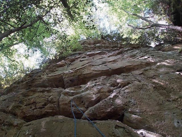 Climbing Ryanosaurus 5.9 at Muir Valley Red River Gorge