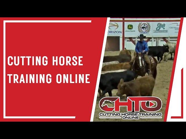 Cutting Horse Training Online