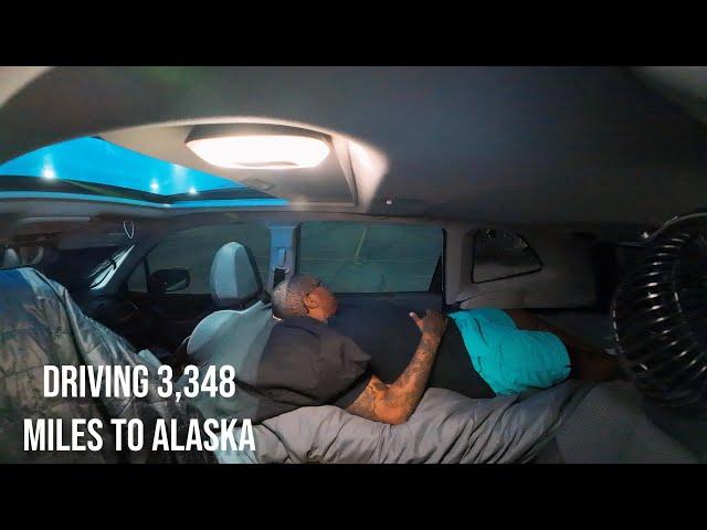 Living In A Subaru|Solo Alaska:Adjusting To 24-hour Daylight + Crazy Animal Sightings