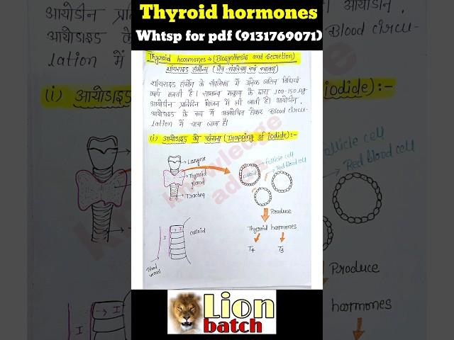 Thyroid hormones biosynthesis and secretion notes pdf in Hindi, knowledge adda bsc 2nd year zoology