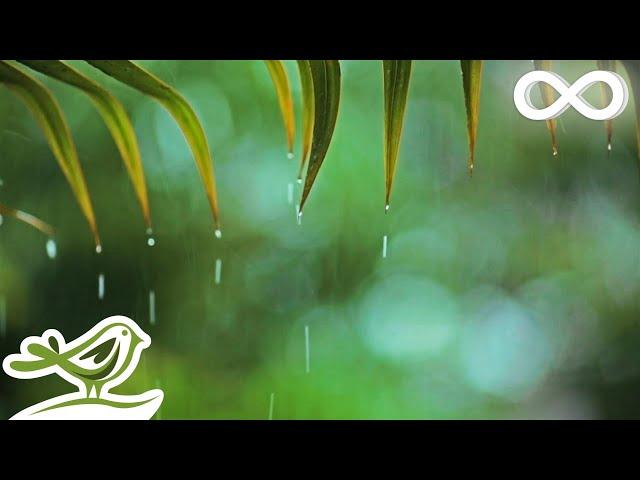 Relaxing Music & Rain Sounds - Beautiful Piano Music, Background Music, Sleep Music • You & Me